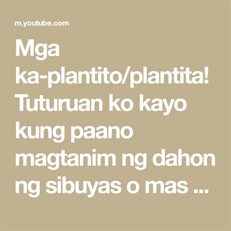 Umaga Kung Magtanim si Plantito.